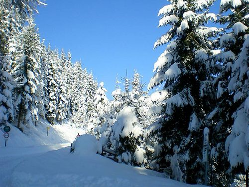 Langlaufstrecke im Großarltal