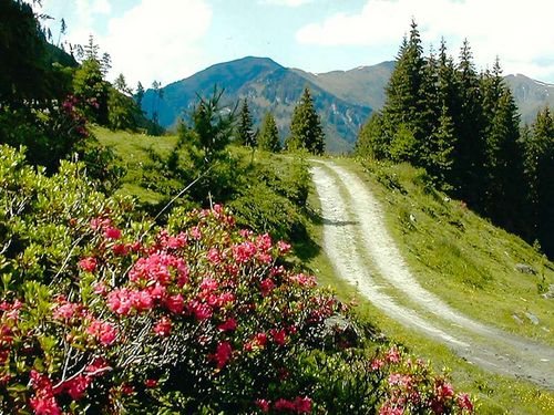 Wanderweg in Großarltal